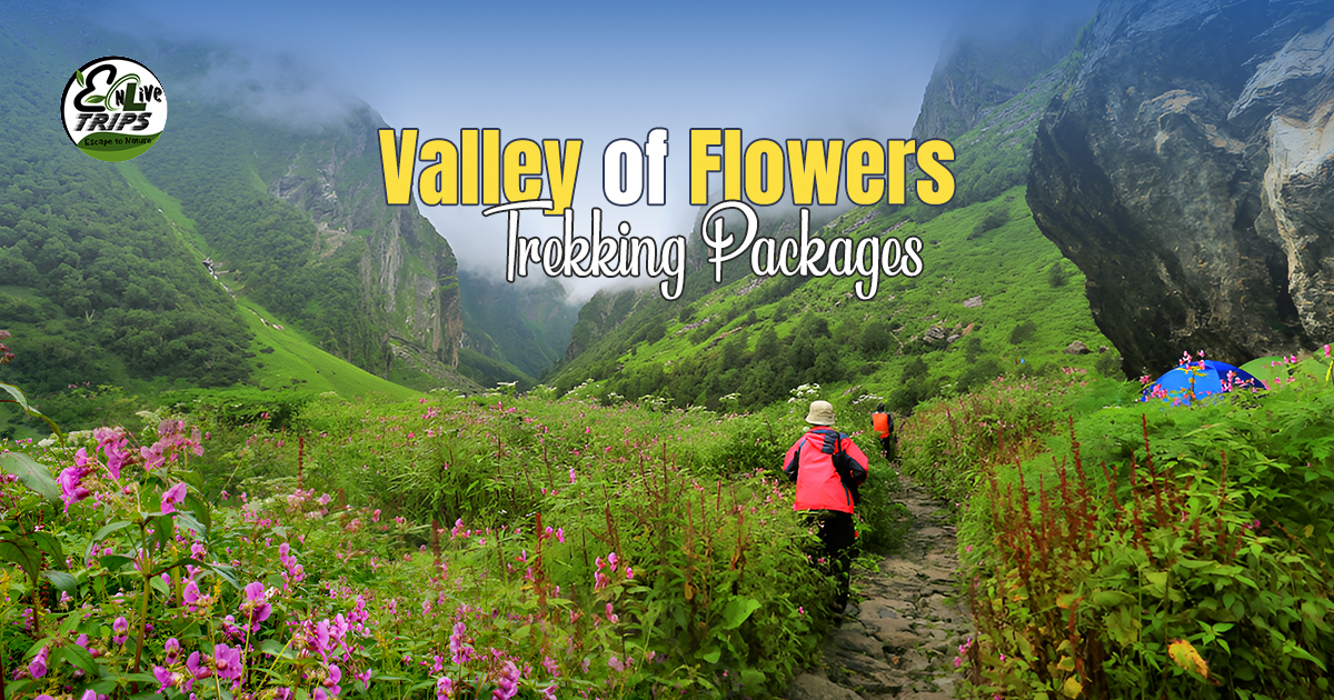 Trek to Valley of Flowers in Monsoon: A Journey Through Nature's Blooming Paradise